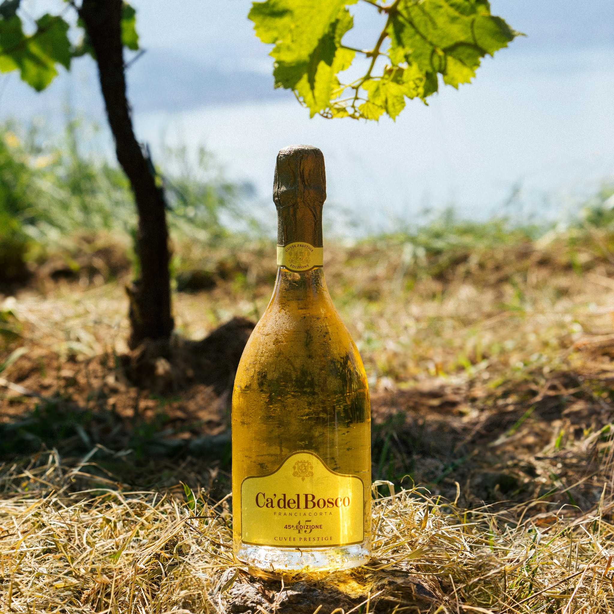 Ca del Bosco